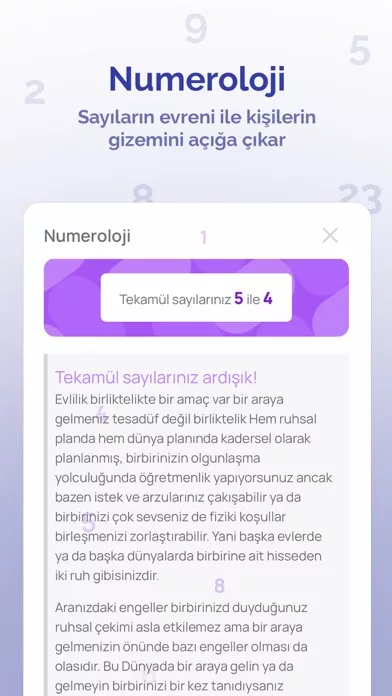 Ms Astro - Astroloji