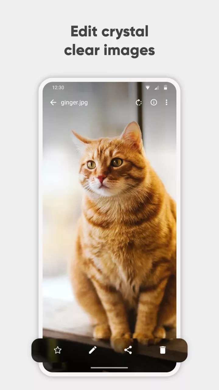 Simple Gallery Pro