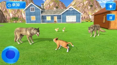 Kitty Stray-Cat Simulator Game