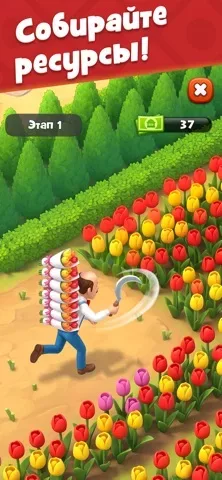 Gardenscapes