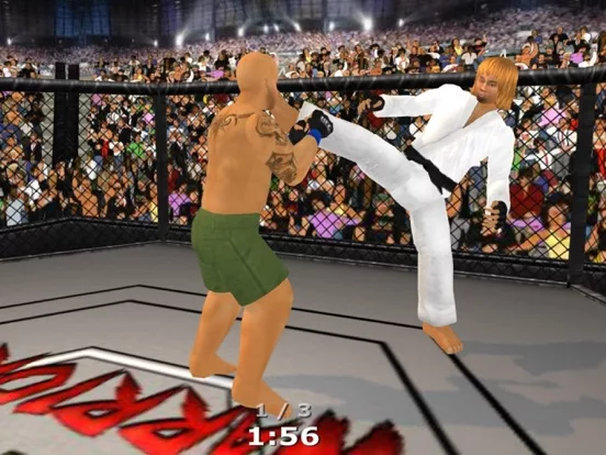 Weekend Warriors MMA
