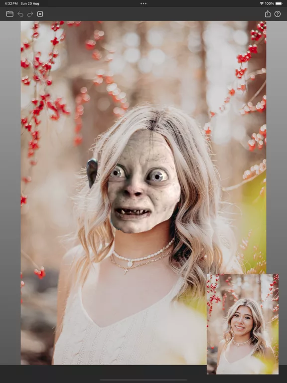 Facecopy: Face Swap & Retouch