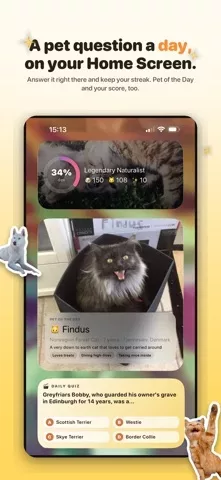 Boop: Catch Every Dog & Cat