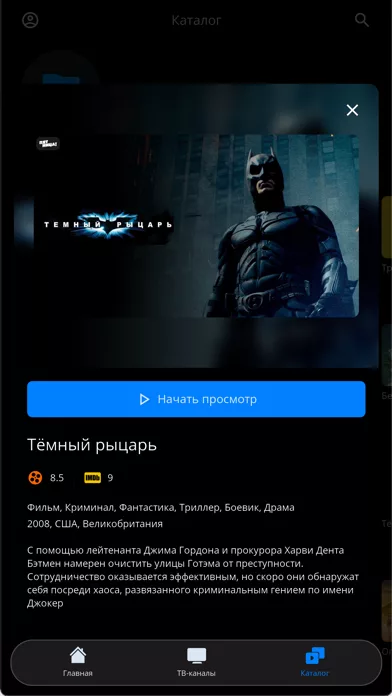 Инсис ТВ