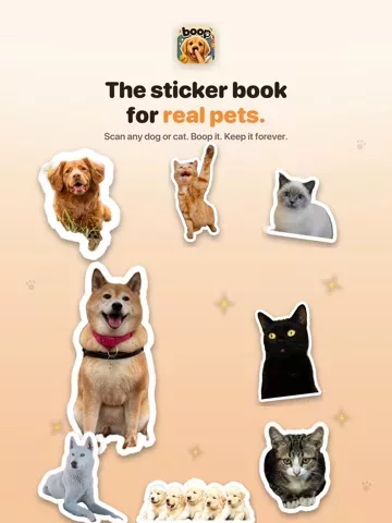 Boop: Catch Every Dog & Cat