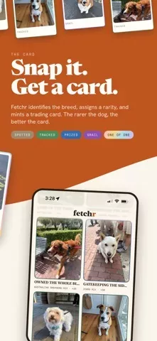 Fetchr — Catch Every Dog