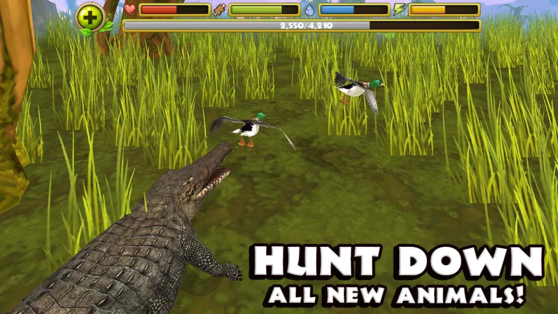 Wildlife Simulator: Crocodile