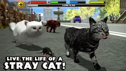 Stray Cat Simulator