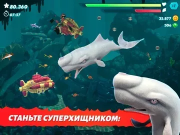 Hungry Shark Evolution: акула