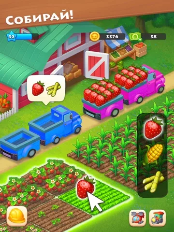 Township