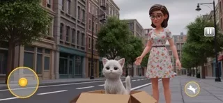 Stray Cat: I Am Pet Cat