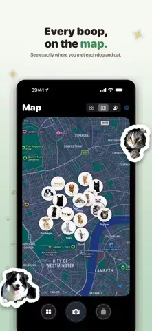 Boop: Catch Every Dog & Cat
