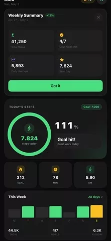 Pedometer — Step Counter