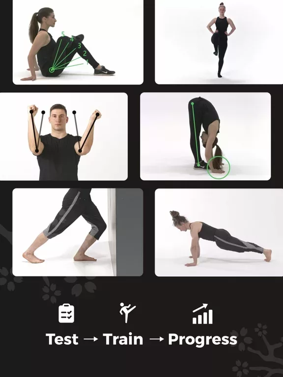 Dojo Athletics
