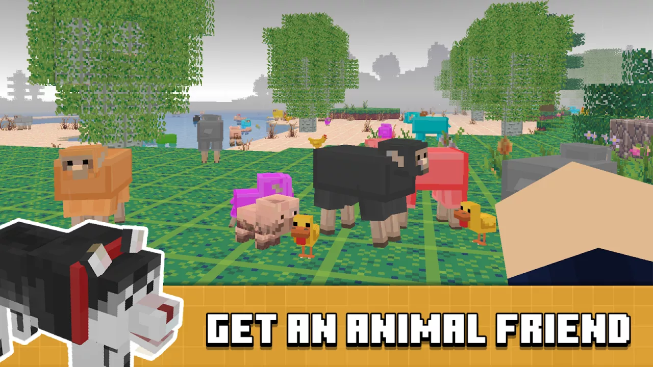 Build Block Craft