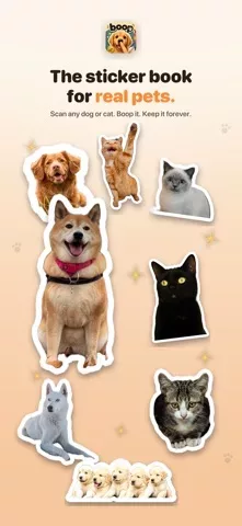 Boop: Catch Every Dog & Cat