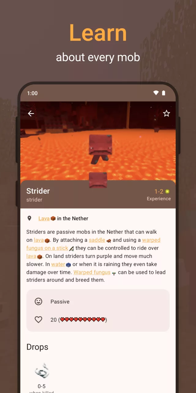 CleverBook for MC