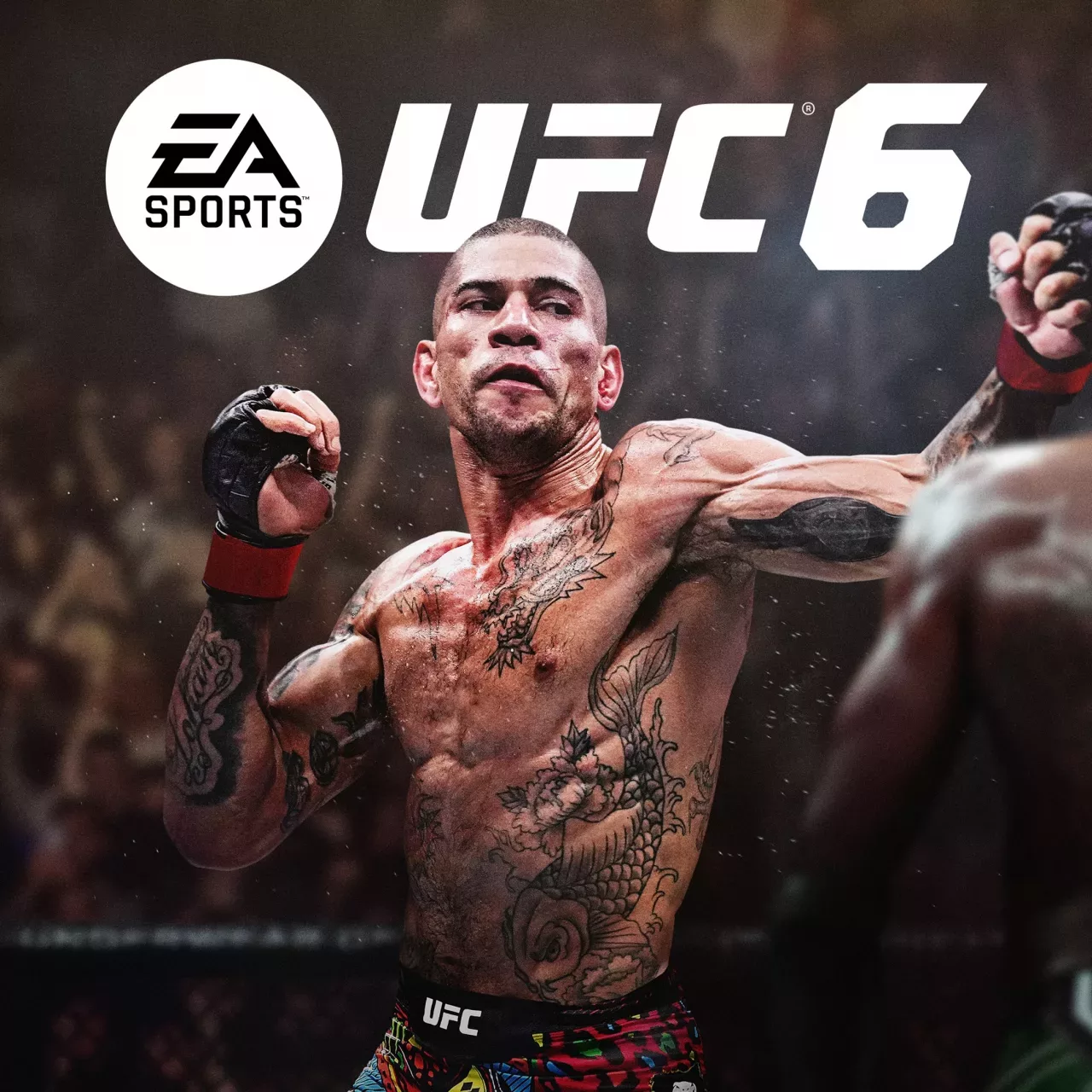 UFC™ 6