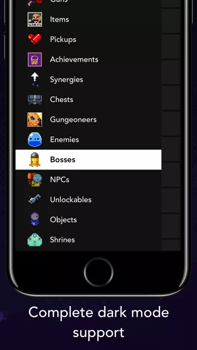 Guide + for Enter the Gungeon