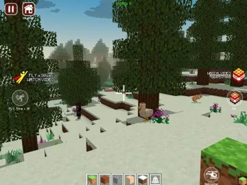 World Craft Dream Island