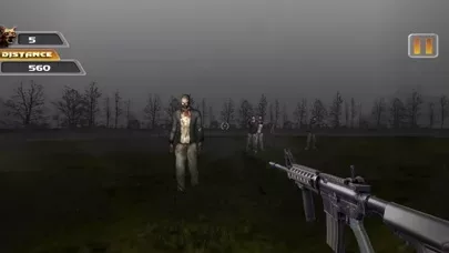 В джунгли