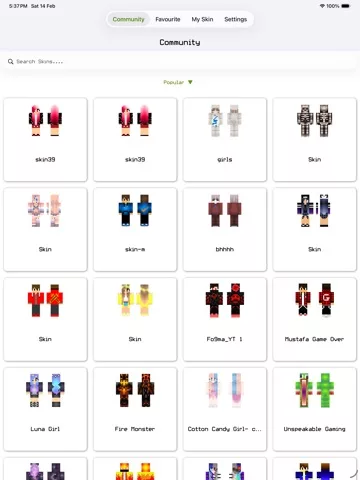 Skins for Minecraft PE and PC