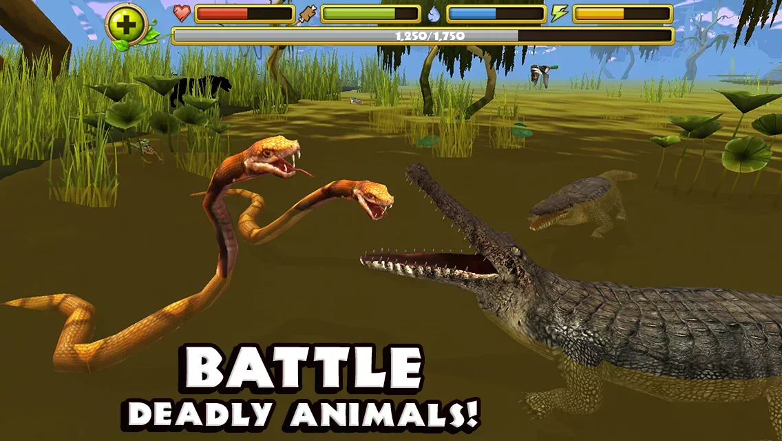 Wildlife Simulator: Crocodile
