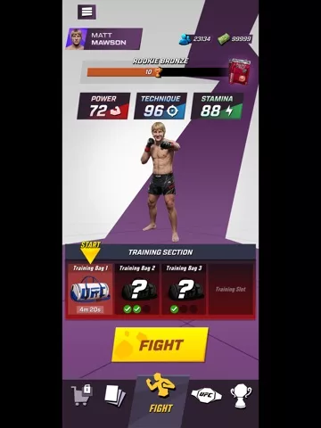 UFC: KO!