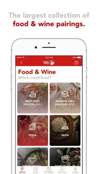 Hello Vino: Wine Assistant