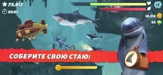 Hungry Shark Evolution: акула