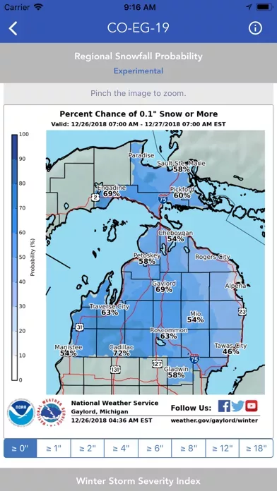 Snow Report & Forecast