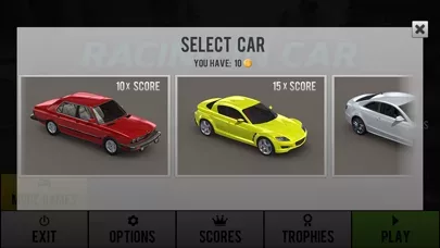 Racing in Car