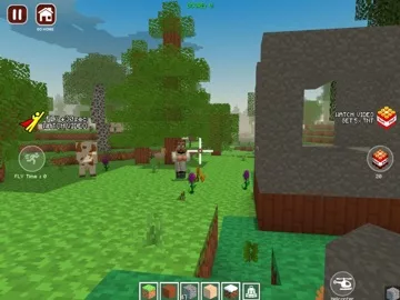 World Craft Dream Island