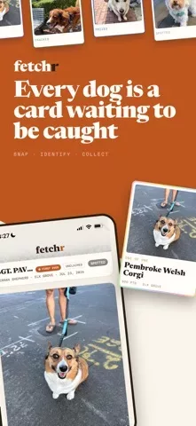 Fetchr — Catch Every Dog