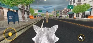 Stray Cat: I Am Pet Cat