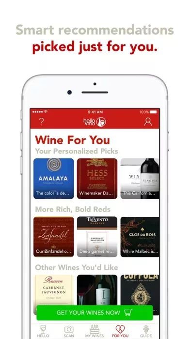 Hello Vino: Wine Assistant