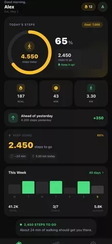 Pedometer — Step Counter