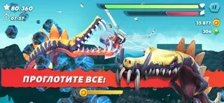 Hungry Shark Evolution: акула