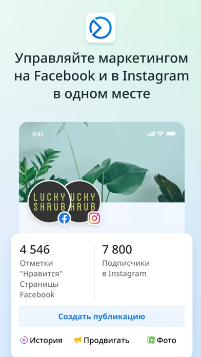 Meta Business Suite