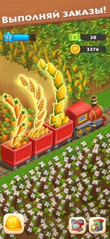 Township