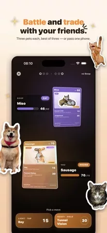 Boop: Catch Every Dog & Cat