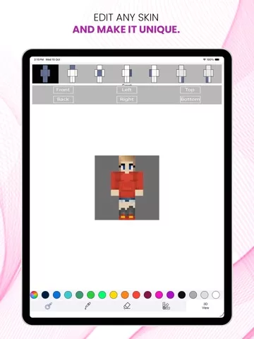 Best Girl Skins for Minecraft