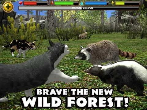 Stray Cat Simulator