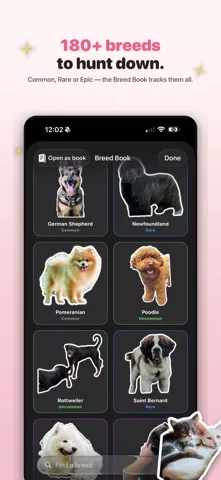 Boop: Catch Every Dog & Cat
