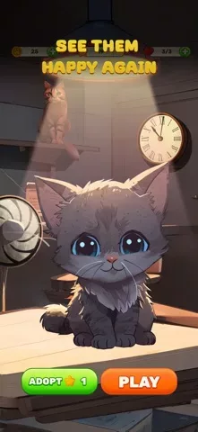 Paws to Home: Stray Rescue