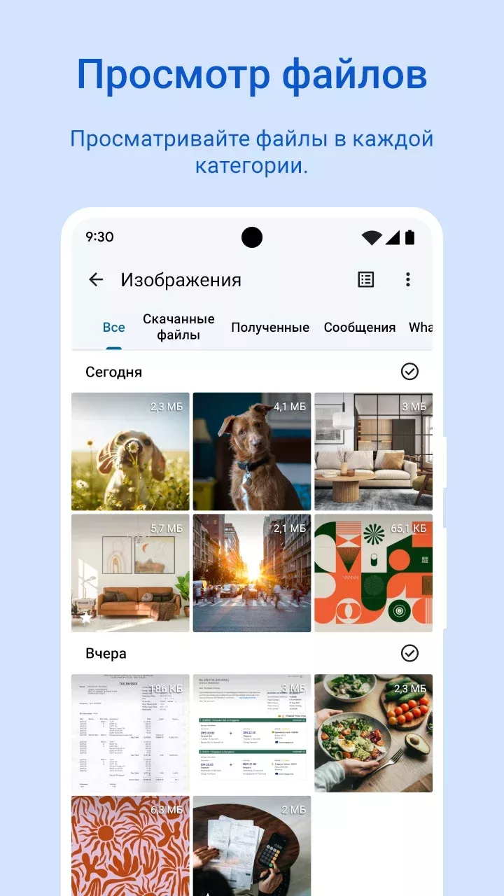 Google Files