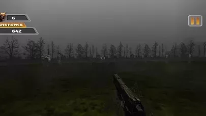 В джунгли