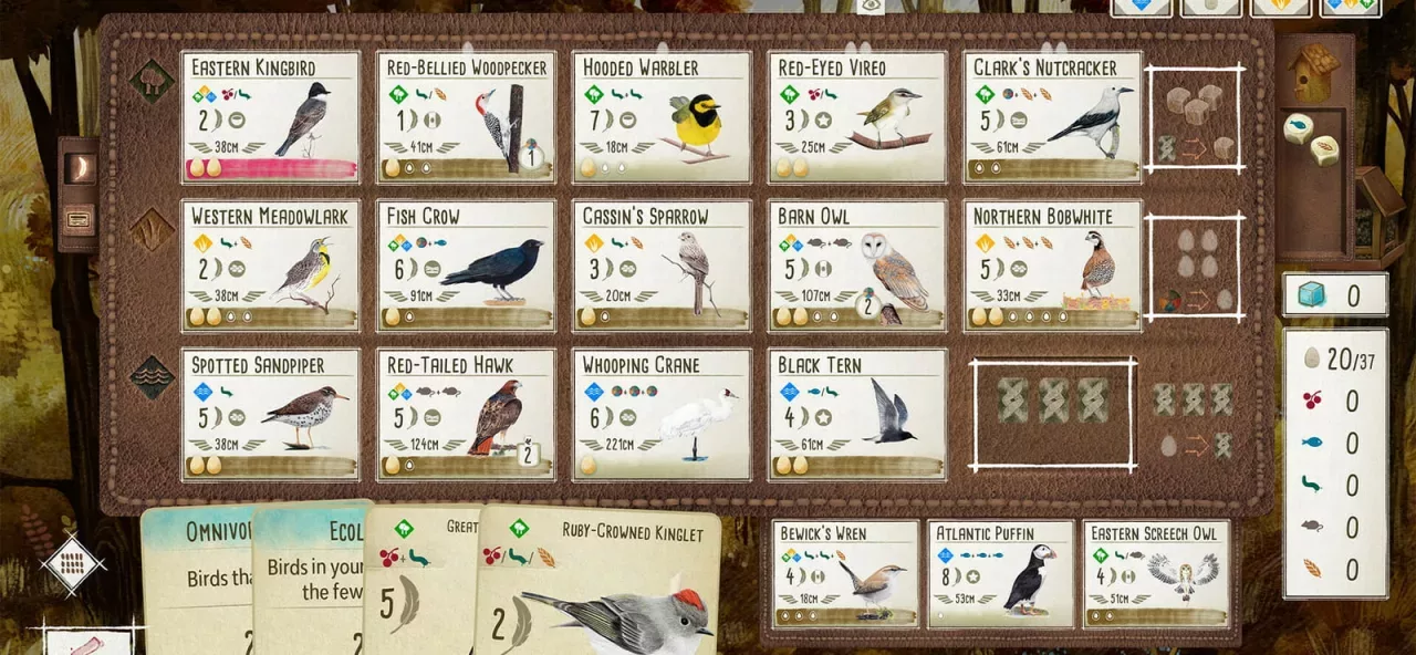 Birds and Cats Special Edition