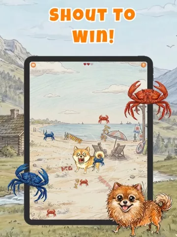 Bow wow Battle