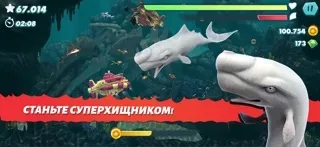Hungry Shark Evolution: акула